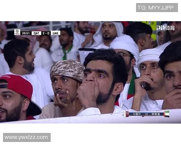 阿联酋与卡塔尔亚盘分析及比赛前瞻全面解读